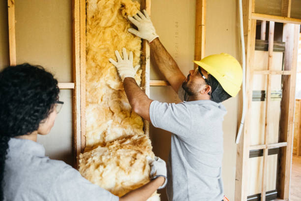 Best Blown-in Insulation  in Clarkston, WA